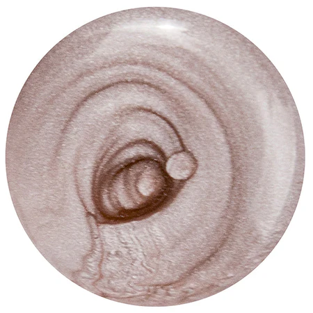 Ellipse_51_bb7b1a3e-5e39-4dd4-8da4-967fa0809e53